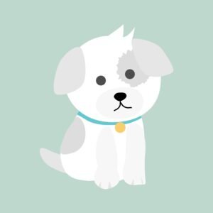 pets and divorce